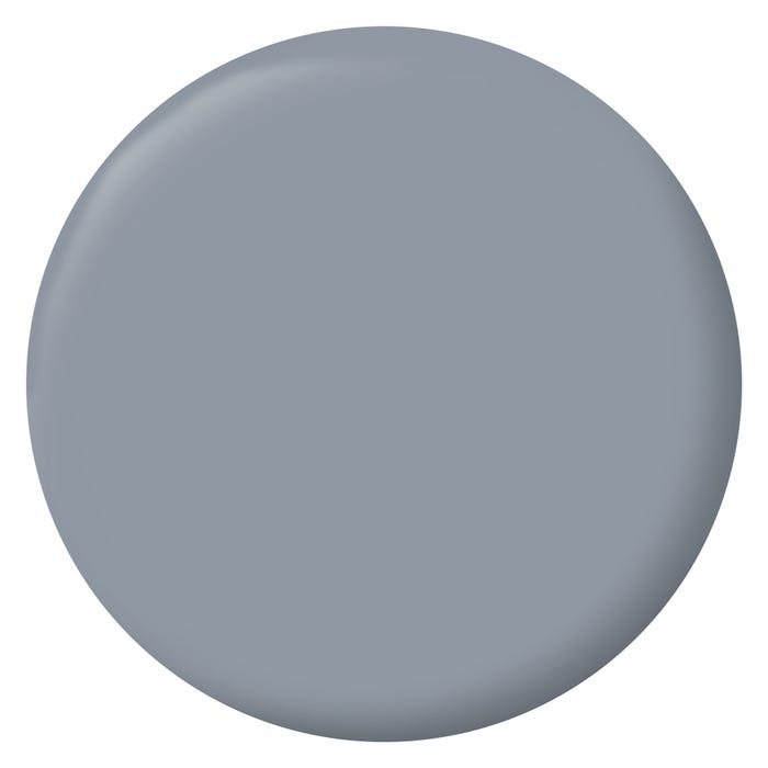 Peinture intérieure et extérieure multi-supports glycéro satin gris bouleau 0,5 L - RIPOLIN 1