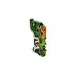 BORNE PROTEC. 2E 2,5MM² LEVIER/B V/J