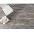 Carrelage intérieur sol et mur gris effet bois naturel l.15 x L.60 cm Amazzonia Grigio