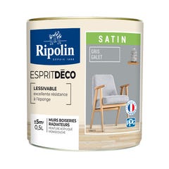 Peinture intérieure multi-supports acrylique satin gris galet 0,5 L Esprit déco - RIPOLIN 2