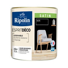 Peinture intérieure multi-supports acrylique satin noir 0,5 L Esprit déco - RIPOLIN 2