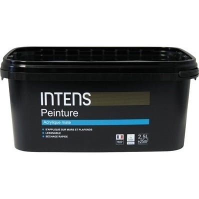 Peinture Interieure Murs Et Plafonds Acrylique Mat Blanc 2 5 L Intens Bricoman