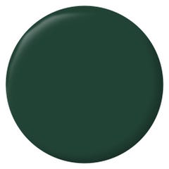 Peinture intérieure et extérieure multi-supports glycéro satin vert basque 0,5 L - RIPOLIN 1