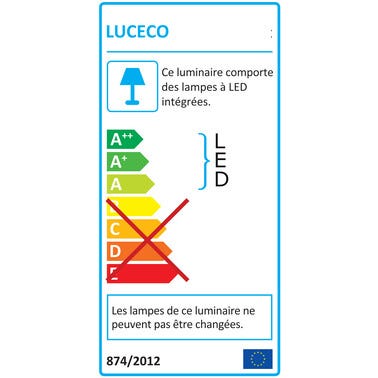 Projecteur de chantier LED 10W  - LUCECO  1