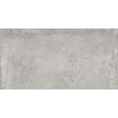 Carrelage intérieur sol et mur gris effet pierre  l.30,8 x L.61,5 cm Brew tequila 1