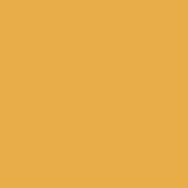 Peinture intérieure velours jaune moret teintée en machine 3 L Altea - GAUTHIER 0