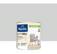 Peinture multi-supports acrylique satin teintée en machine gris lomé CH2 1151 0,5 L Esprit déco - RIPOLIN