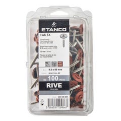 100 VIS RIVE INOX A2 4.5X60MM TERRACOTTA - ETANC0 1