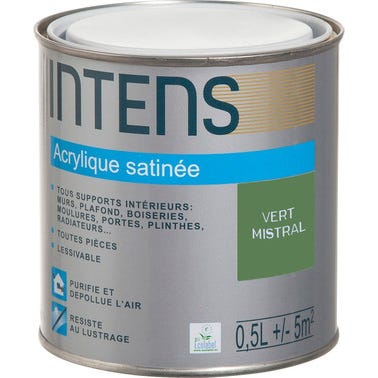 Peinture intérieure multi-supports acrylique monocouche satin vert mistral 0,5 L - INTENS 0
