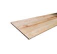 Panneau prolam pin maritime français rustique panneauté 2 bords droits 22 x 1200 mm Long.2,4 m - SOTRINBOIS