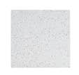 Lot de 14 dalles plafonds BF l.600 x L.600 mm Thermatex Star