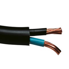 Cable électrique R2V 3G 6 mm² au mètre - NEXANS FRANCE ❘ Bricoman