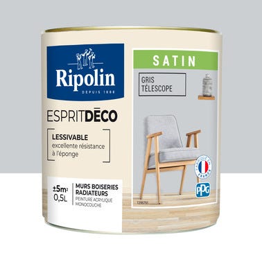 Peinture intérieure multi-supports acrylique satin gris téléscope 0,5 L Esprit déco - RIPOLIN 0