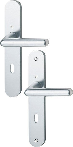 ensemble poignees de porte sur plaque entraxe 195 mm aluminium argent cylindre cortina hoppe bricoman