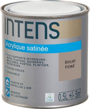 Peinture Interieure Multi Supports Acrylique Monocouche Satin Brun Rose 0 5 L Intens Bricoman