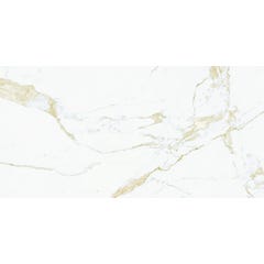 Carrelage intérieur imitation marbre 60 x 120 cm rectifié Marble Vision Calacatta 1.44m²