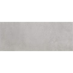 Faïence gris effet béton l.20 x L.50 cm Portland 0