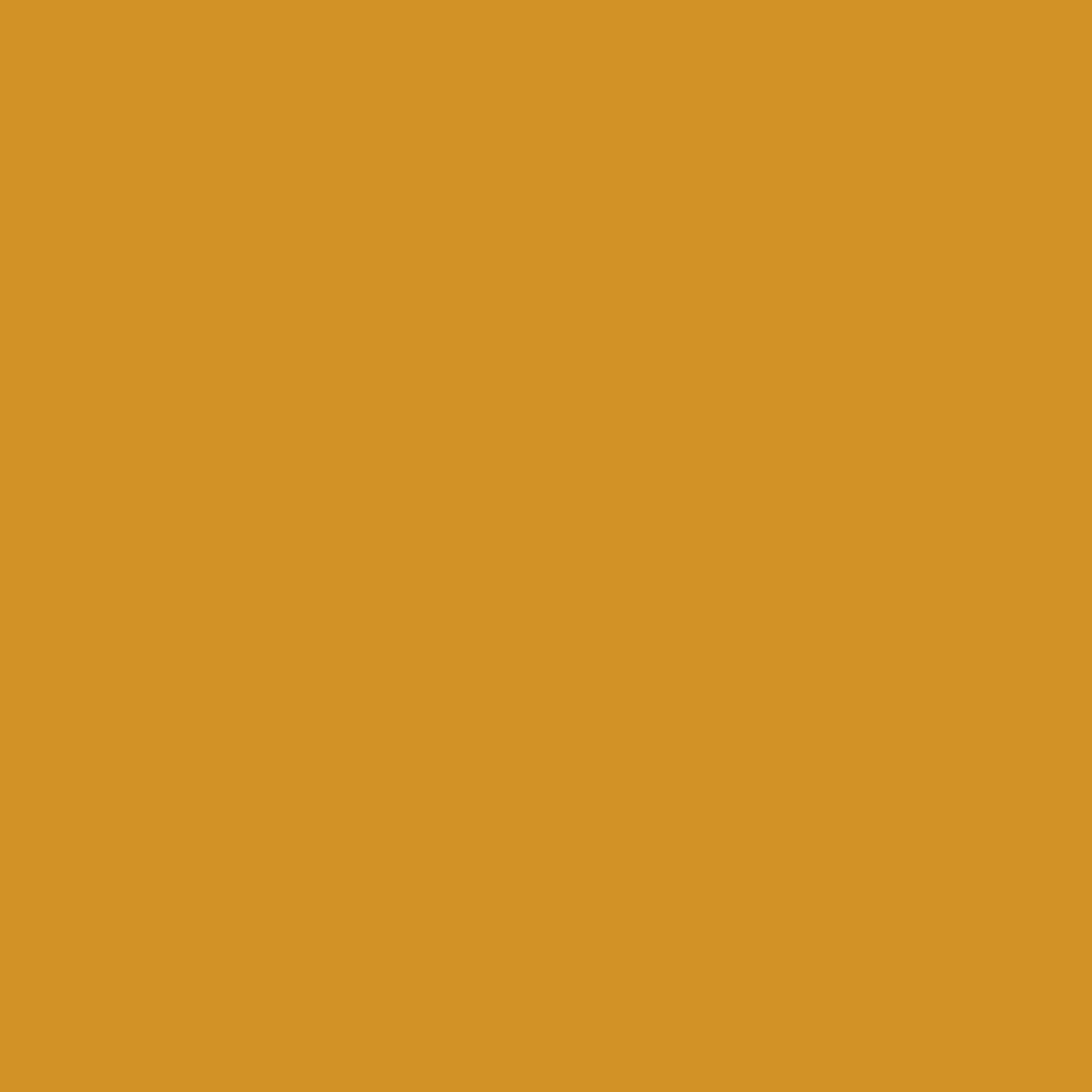 Peinture intérieure multi-supports acrylique mat jaune ambre 0,5 L Esprit déco - RIPOLIN 1