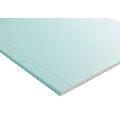 Plaque De Platre Hydrofuge Nf Ba13 H 250 X L 60 Cm Isolava Bricoman
