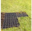 Dalle 50x50x3 Engazonnable