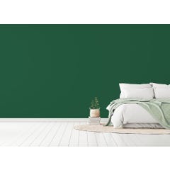 Peinture intérieure velours vert athamanta teintée en machine 10 L Altea - GAUTHIER 5