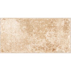 Carrelage sol extérieur effet pierre l.15 x L.30 cm - Cotto Crema 2