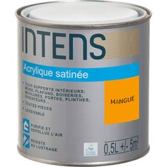 Peinture intérieure multi-supports acrylique monocouche satin mangue 0,5 L - INTENS 0