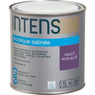 Peinture intérieure multi-supports acrylique monocouche satin violet myrtille 0,5 L - INTENS 0
