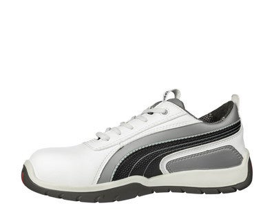 puma 43