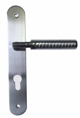 ensemble poignees de porte sur plaque entraxe 195 mm cylindre eliott chainey bricoman