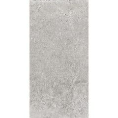 Carrelage intérieur rectifié sol et mur gris effet pierre l.30 x L.60 cm OCCITANE GREY 0