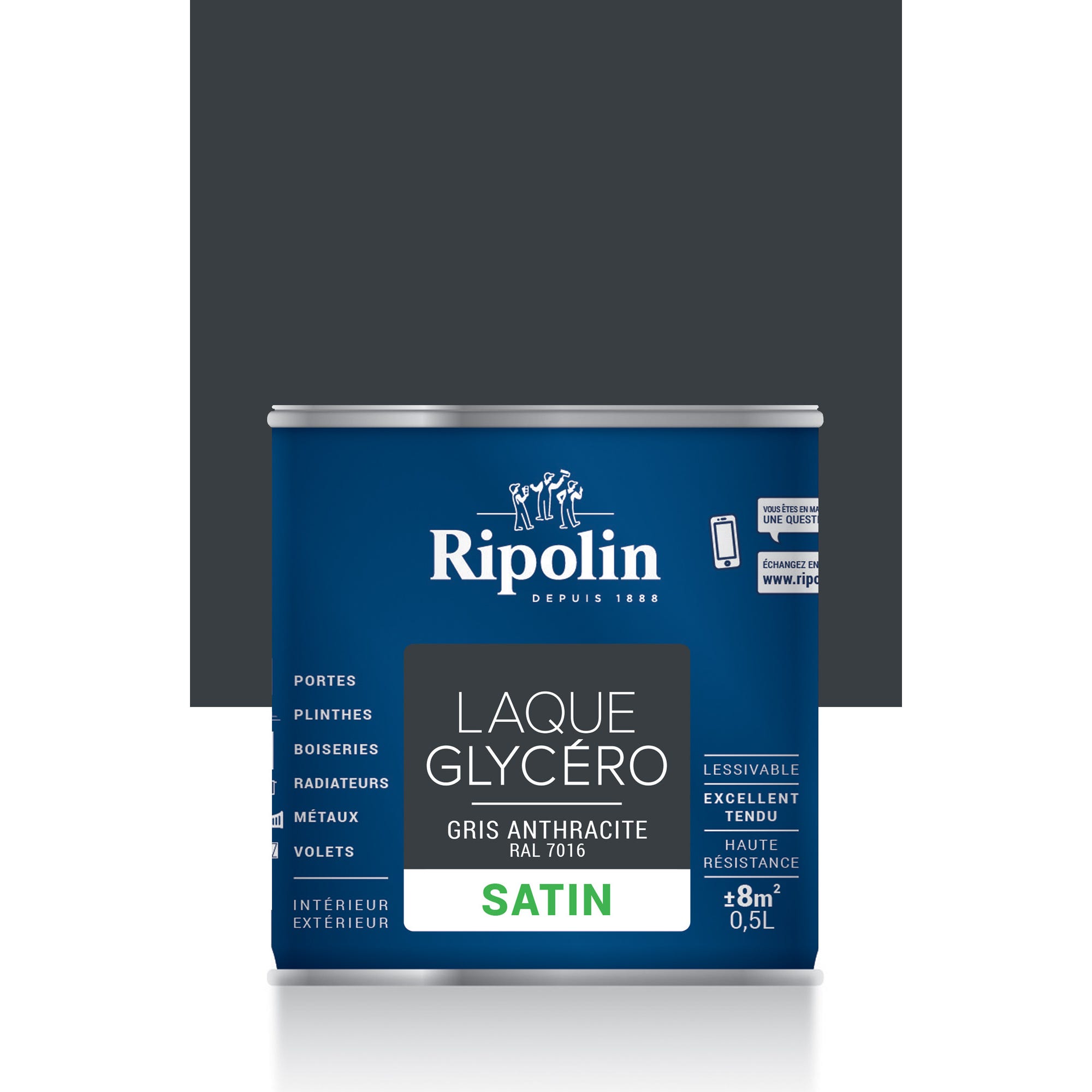 Peinture intérieure et extérieure multi-supports glycéro satin gris anthracite 0,5 L - RIPOLIN 0