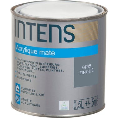 Peinture intérieure multi-supports acrylique monocouche mate gris zingue 0,5 L - INTENS 0
