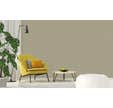 Toile de verre nattée G180N 245g/m² l.1 x L.50 m - TASSOGLAS