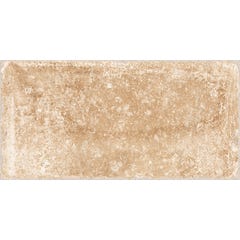 Carrelage sol extérieur effet pierre l.15 x L.30 cm - Cotto Crema 0