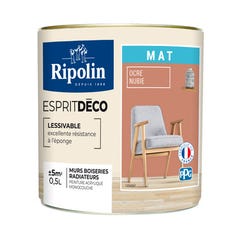 Peinture intérieure multi-supports acrylique mat ocre nubie 0,5 L Esprit déco - RIPOLIN 2