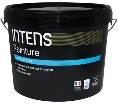 Intens Peinture Murs Et Plafonds Acrylique Mate Blanc 10l Bricoman