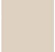 Carrelage beige uni l.30 x L.30 cm Oumi