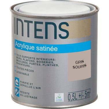 Peinture intérieure multi-supports acrylique monocouche satin gris souris 0,5 L - INTENS 0
