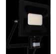PROJECTEUR NINO IP54 IR 50W/4000K/4000LM/NOIR