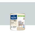 Peinture intérieure multi-supports acrylique satin teintéé en machine gris pluton CH2 0271 0,5 L Esprit déco - RIPOLIN