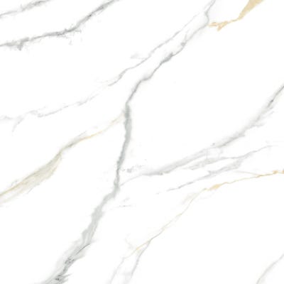 Carrelage sol intérieur effet marbre l.60x L.60cm - Salamanca 0