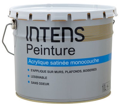 Intens Peinture Murs Et Plafonds Acrylique Satinee Monocouche 10 L Bricoman