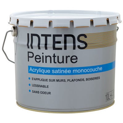Intens Peinture Murs Et Plafonds Acrylique Satinee Monocouche 10 L Bricoman