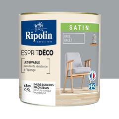 Peinture intérieure multi-supports acrylique satin gris galet 0,5 L Esprit déco - RIPOLIN 0