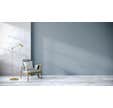 Toile de verre lisse G45N 147 g/m² l.1 x L.50 m - TASSOGLAS