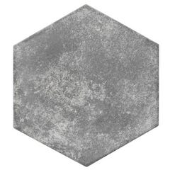 Carrelage sol extérieur effet pierre l.20 x L.24 cm - Pompeia Gris 2