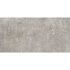 Carrelage sol extérieur effet pierre l.30,8 x L.61,5 cm - Ever Grey