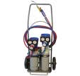 Poste bi-gaz 500L Minieco