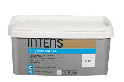 Peinture Acrylique Satin Terre Cendree Monocouche Bricoman